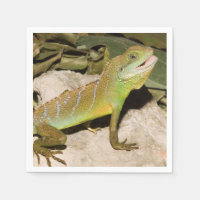 Chinesischer Wasserdrache
