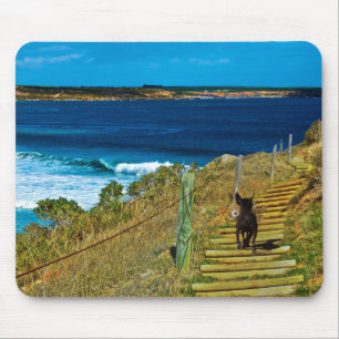 Chinesischer Welpenhund, Teddy, Mousepad