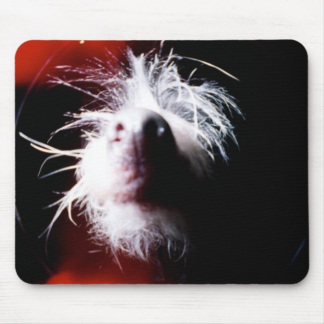 Chinesisches Fisheye mit Haube Mousepad (Vorne)