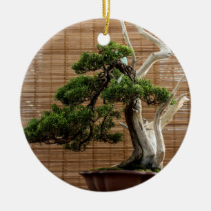Chinesisches Juniper Bonsai Tree Foto Keramik Ornament