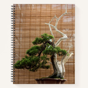 Chinesisches Juniper Bonsai Tree Foto Notizbuch