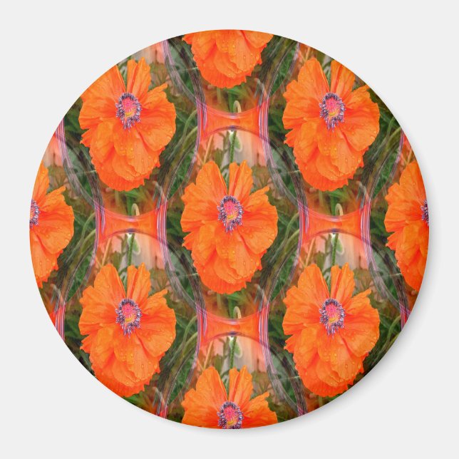 Chinesisches Mohnfeld... Magnet (Vorne)