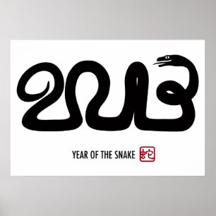 Chinesisches Mondplakat des neuen Jahr-2013 Poster