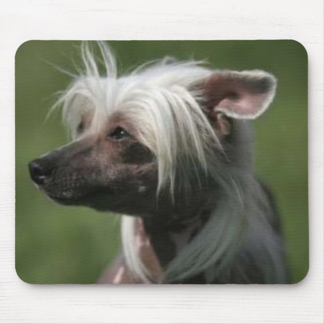 Chinesisches Mousepad mit Haube (Vorne)