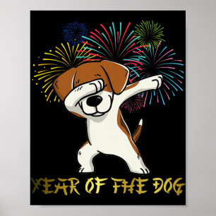 Chinesisches Neujahr 2018 Feuerwerk Chinesischer Z Poster