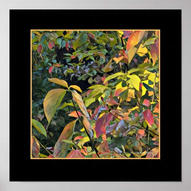 Chinesisches Pistio im Herbst Poster (Vorne)