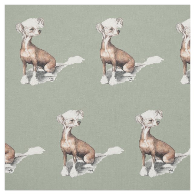 Chinesisches sitzendes Hundekunst-Gewebe mit Haube Stoff (Muster)