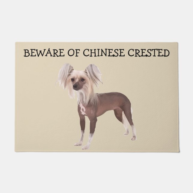 Chinesisches Zeckenhühnerhaus Fußmatte (Vorderseite)