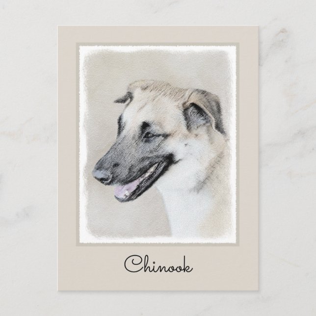 Chinook (Hubschrauberohren) Malerei - Hundekunst Postkarte (Vorderseite)