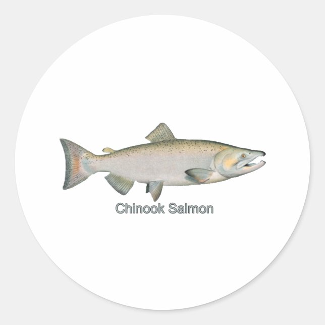 Chinook Lachs (mit dem Titel) Runder Aufkleber (Vorderseite)