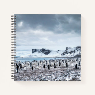 Chinstrap Penguin Colony Landscape Notizbuch