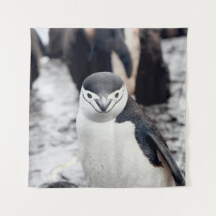 CHINSTRAP PENGUIN WANDTEPPICH