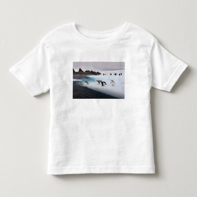Chinstrap Penguins Kleinkind T-shirt (Vorderseite)