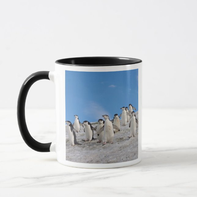 Chinstrap Penguins | Pygoscelis Antarktis Tasse (Links)