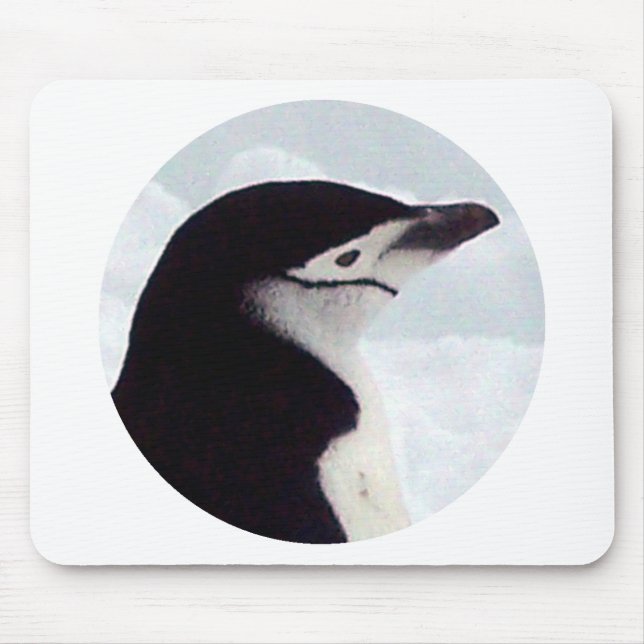 Chinstrap Pinguin-Porträt Mousepad (Vorne)