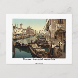 Chioggia, Fischmarkt, Venedig, Italien 1890er Postkarte