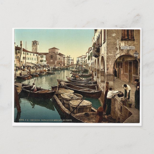 Chioggia, Fischmarkt, Venedig, Italien Vintages Fo Postkarte (Vorderseite)