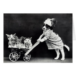 Chiot avec trois chatons dans un chariot