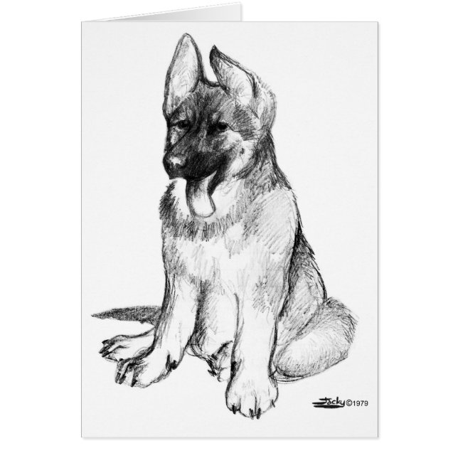 Chiot berger allemand (Devant)