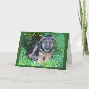 Chiot berger allemand carte d'anniversaire