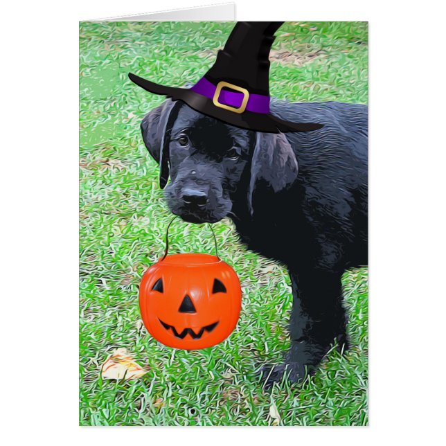 Chiot Citrouille Halloween - Black Lab (Devant)