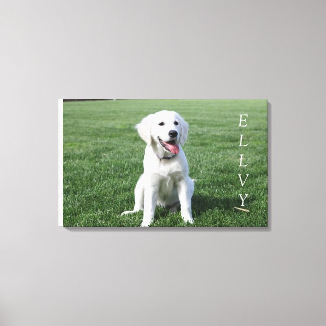 Chiot cutest sur toile (Recto)