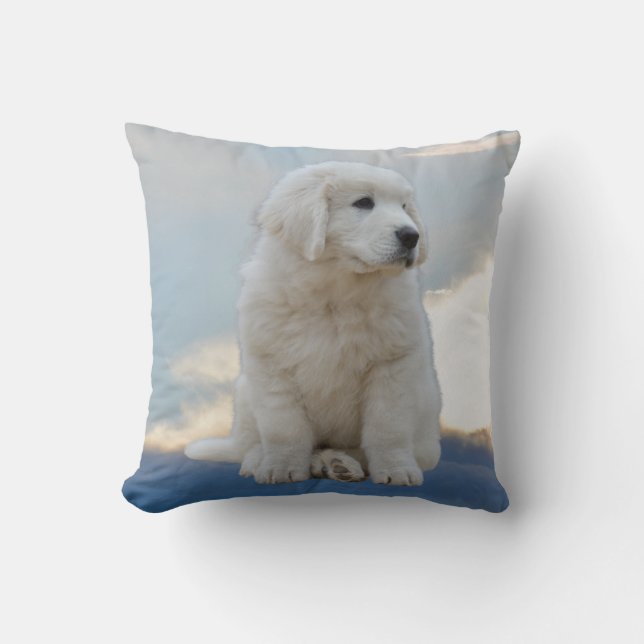 Chiot dans le Coussin du ciel (Recto)