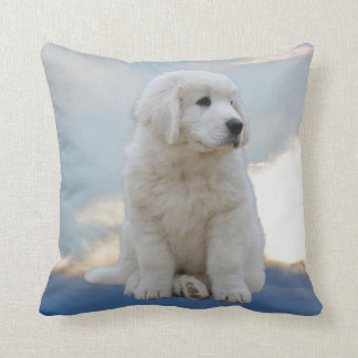 Chiot dans le Coussin du ciel