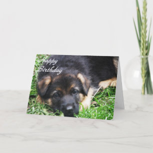 Chiot de berger allemand - carte d'anniversaire