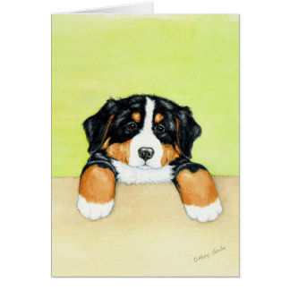 Chiot de Berner