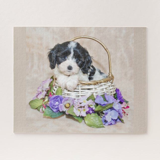 Chiot de Cavachon dans le puzzle de panier (Horizontal)