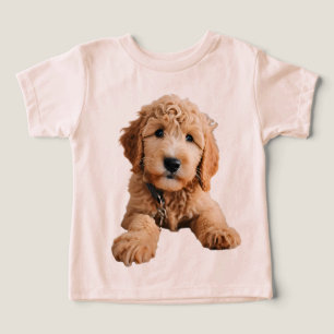Chiot de Doodle Doré