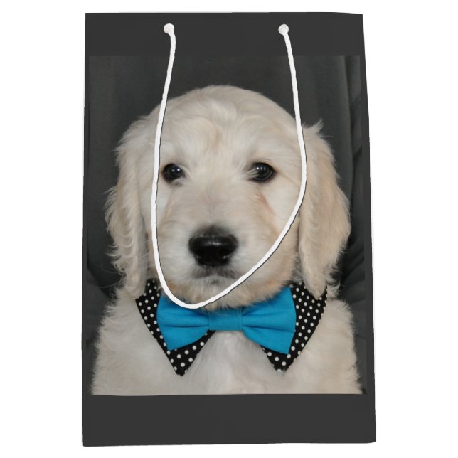 Chiot de Goldendoodle dans le sac de cadeau de (Devant)
