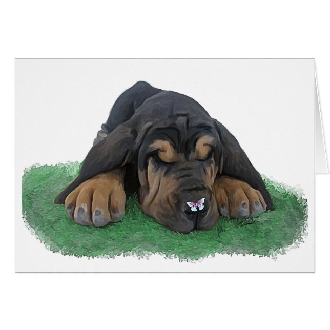 chiot de limier (Devant horizontal)