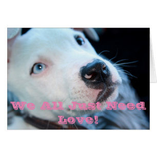 Chiot de pitbull de bébé