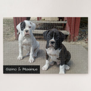 Chiot fait sur commande de boxeur de puzzles