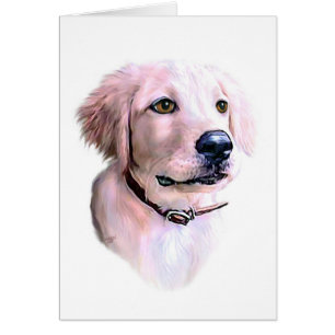 Chiot Golden Retriever