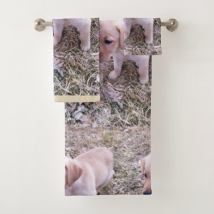 Chiot jaune de labrador retriever
