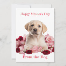 Chiot Labrador personnalisé avec carte de fête des