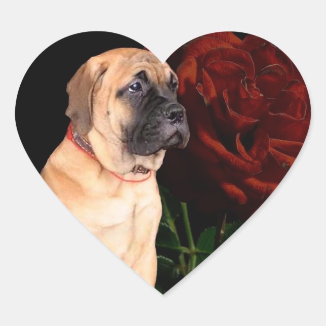 Chiot mastiff et autocollants de coeur rose (Devant)
