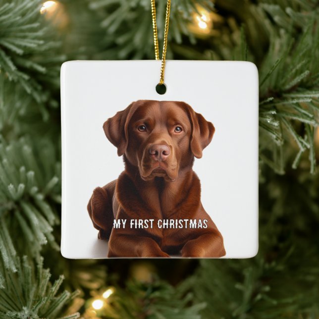 Chiot ovale Mon premier ornement photo de Noël (Arbre)