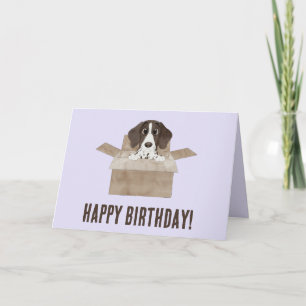 Chiot pointeur dans boîte Carte d'anniversaire