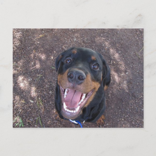 Chiot Rottweiler avec carte postale Big Smile (Devant)