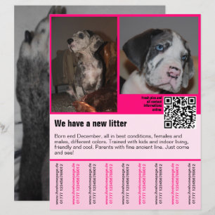 chiots à vendre prospectus modèle code QR