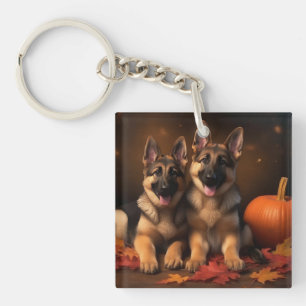 Chiots Berger Allemand Délice d'Automne Citrouille