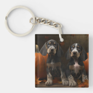 Chiots Bluetick Coonhound Délice d'Automne Citroui