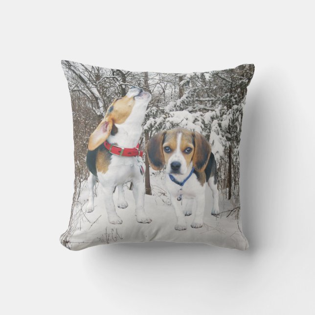 Chiots de beagle dans le coussin de neige de (Recto)
