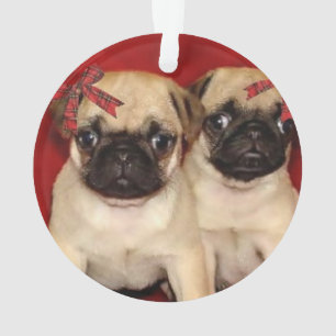 Chiots de carlin de Noël