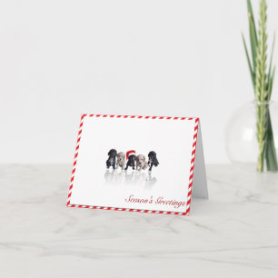 Chiots de cocker dans la carte de Noël de