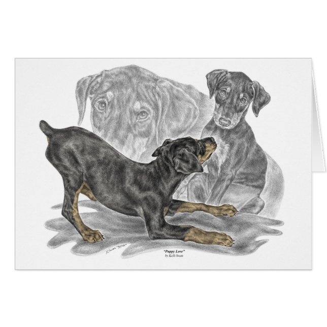 Chiots Doberman Pinscher (Devant horizontal)